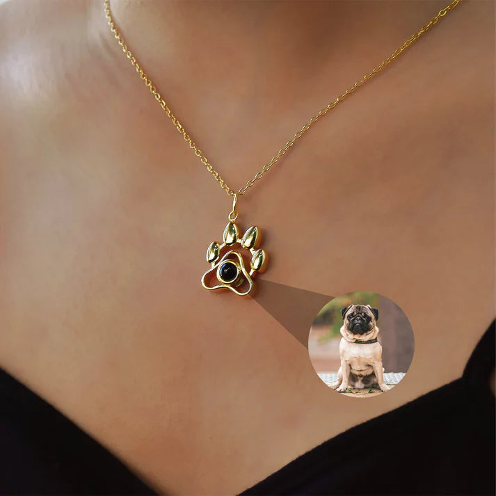 Collar Perrito con Foto Personalizada